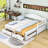 Alleson Wooden Twin Size Daybed with Trundle and 2 Storage Drawers-513930147
