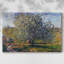 Arbre en fleur près de Vetheuil, 1879 - Toile tendue avec châssis-1943152404