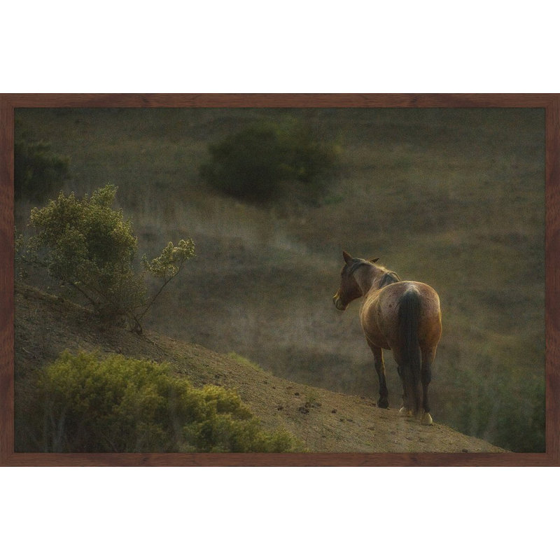 Melanie Snowhite - Single Picture Frame Print, 41cm H x 61cm W x 3.81cm D