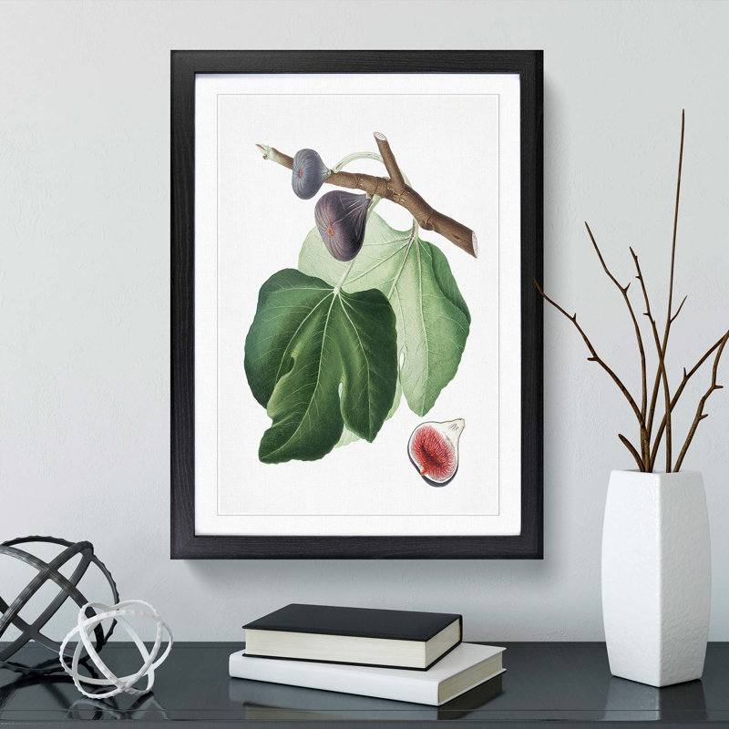 Black Fig Tree by Giorgio Gallesio - Picture Frame Art Print, Black Framed, 48cm H x 36cm W x 2cm D