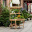 Présentoir à plante antique en bois massif avec présentoirs décoratifs en bois | Chariot à 2 roues en bois avec tablettes pour plantes et plus
