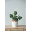  Ceramic Table Vase-744591790