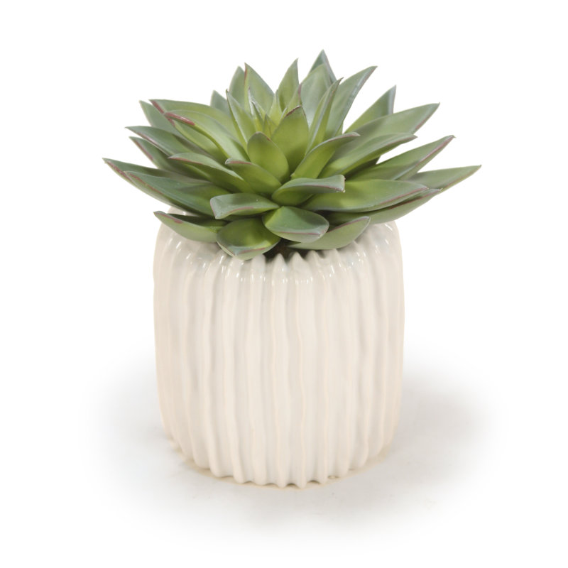 Succulent agave artificiel 3" en pot