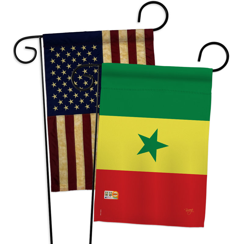 Ensemble de drapeaux décoratifs en polyester 2 faces 19 x 13 po 2 pièces senegal impressions