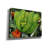  'Green Tree Python' by Tim Jeffs Canvas Wall Art-2080117652
