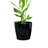 Bamboo Blooms 10″ Black Round Self-Watering Indoor/Outdoor Planter-1472474366