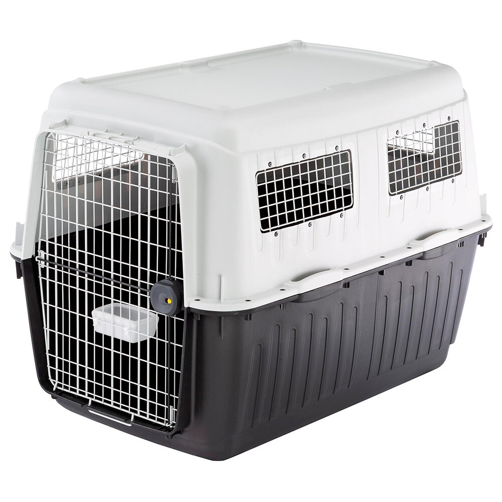 Cat carrier for hot sale sale near me