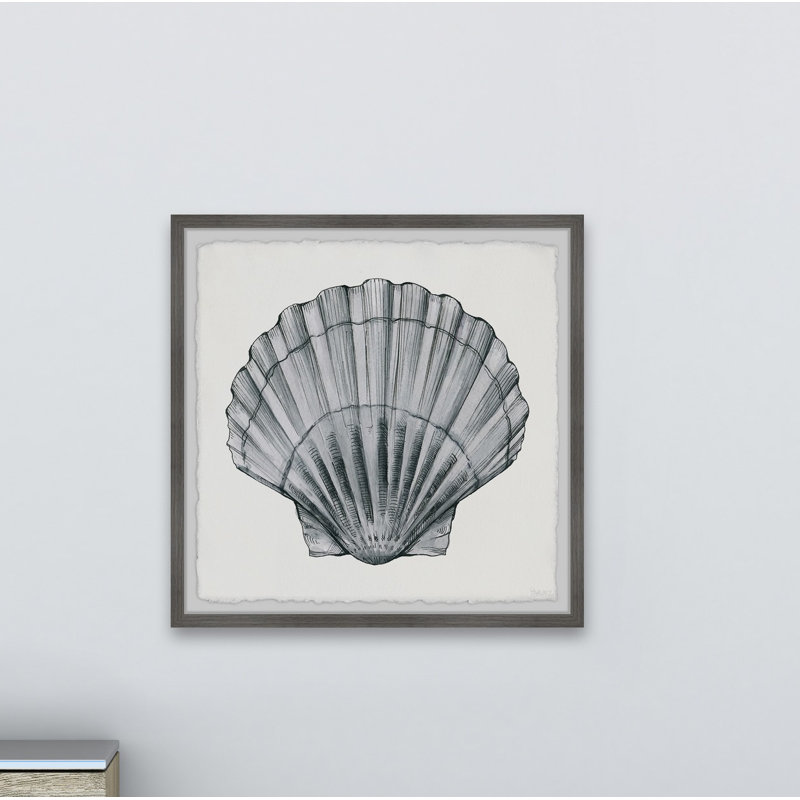 «Pretty Grey Shell», reproduction encadrée, H 18 po x l 18 po x P 1,5 po