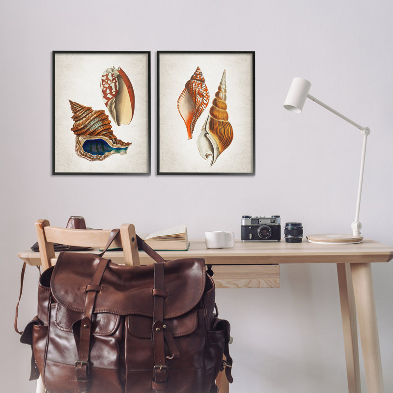 «Twin Shells Motifs», ensemble de 2 giclées encadrées, design par Kim Allen, H 20 po x l 16 po, Giclée encadrée noir minuit