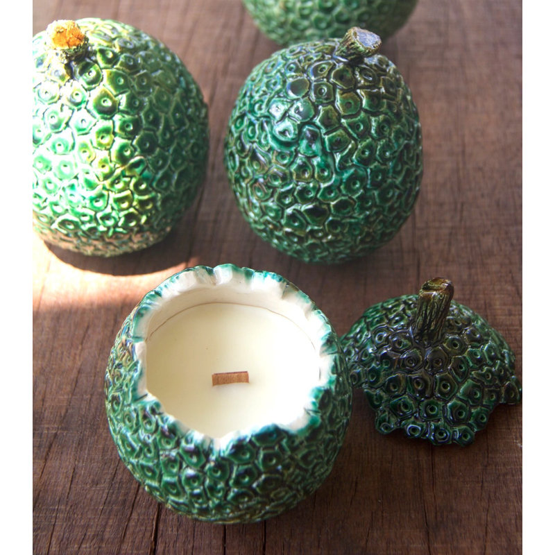 Bread Fruit Samana Paradise Scented Novelty Candle