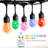Leonor Outdoor 12 - Bulb 24'' Plug-in LED Globe String Light