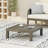 Brava Coffee Table