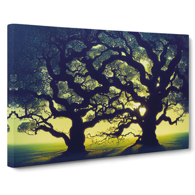 Unforgettable Oak Trees - Wrapped Canvas