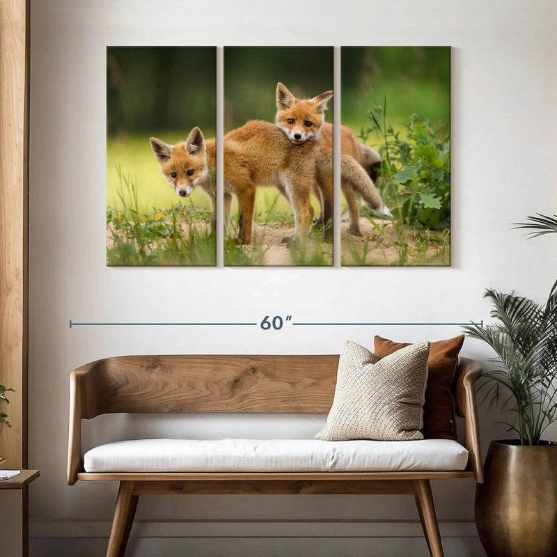Brampt Fox Kits, 32" H x 50" W