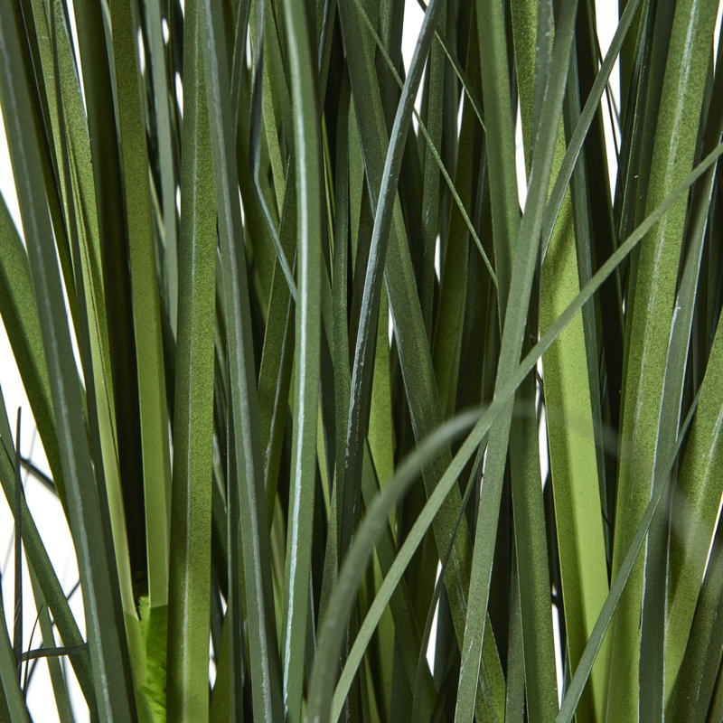 Andaiye 120cm Plant in Pot, Blue