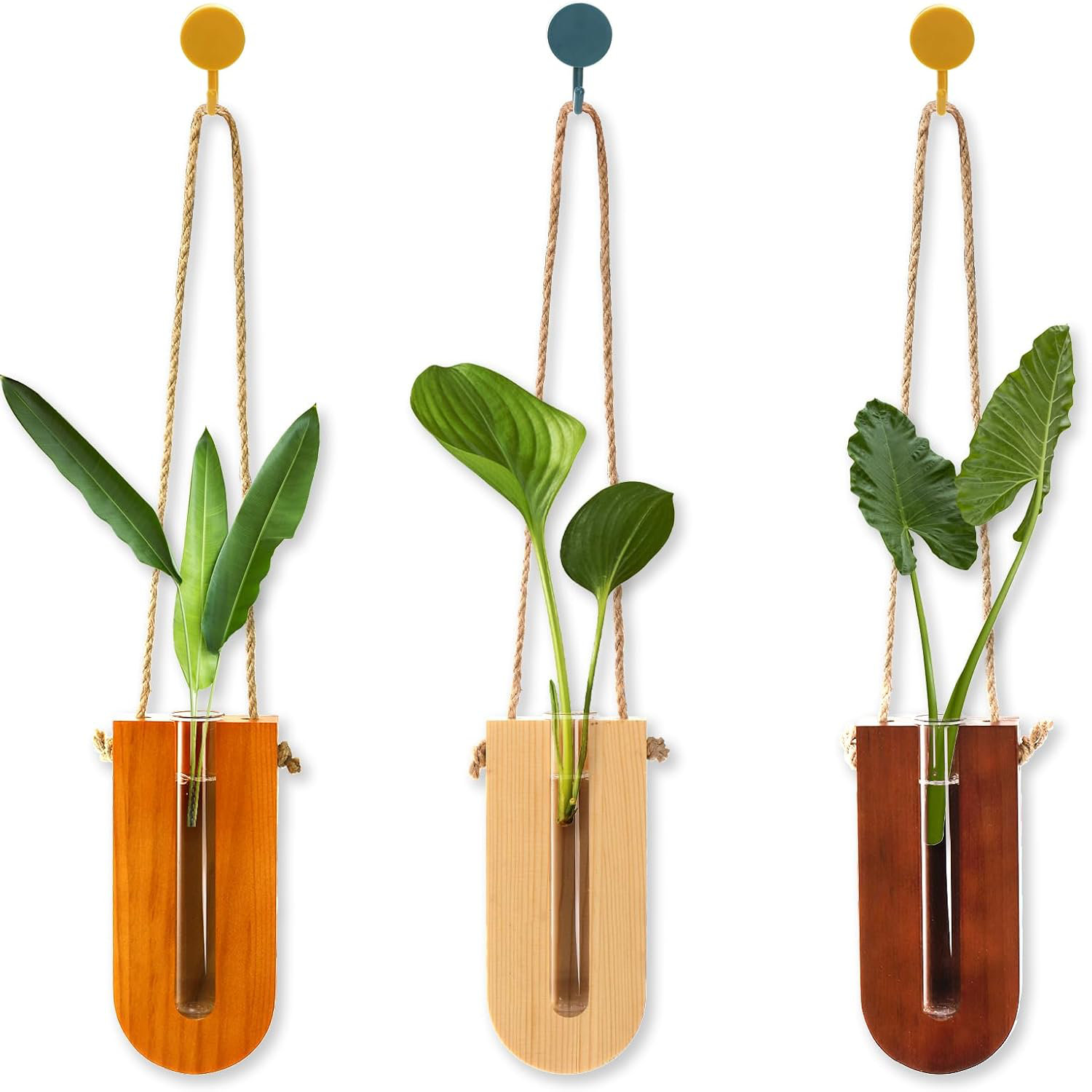 Pièces De Pots De Fleurs Suspendus Semi-circulaires, Pots De Fleurs D' Intérieur Et D'extérieur