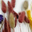 Real Preserved Mixed Bouquets Mix 4 Small - Med - Large-646765771