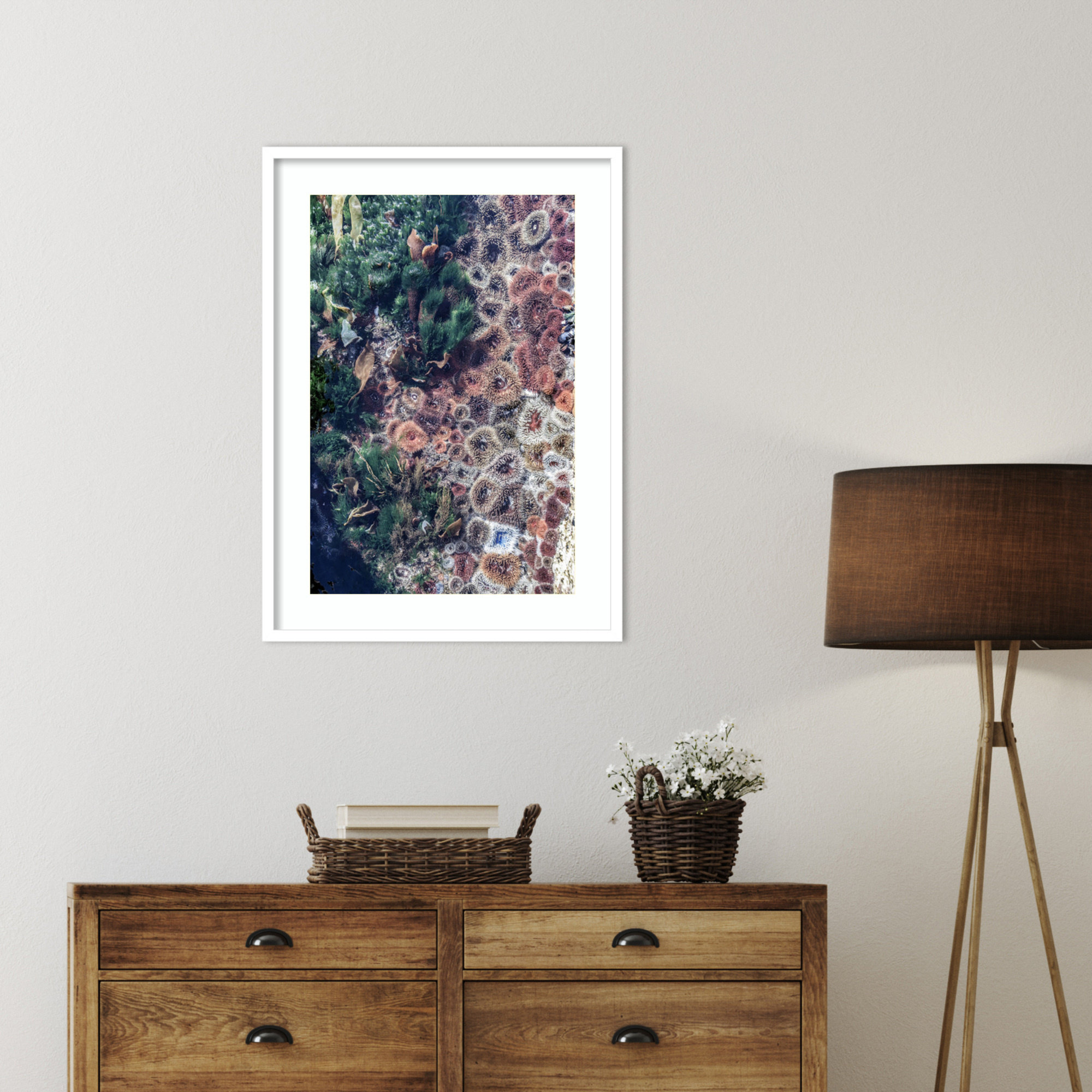 Ocean Curiosities by Shot by Clint Wood Framed Wall Art Print, White, 33" H x 24" W