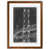 Impression encadrée, érable
