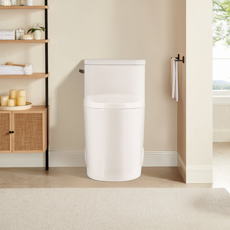 Braila Side-Flush Elongated One-Piece Toilet with ADA Chair Height