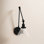 Catalina Single Light Swing Arm Sconce