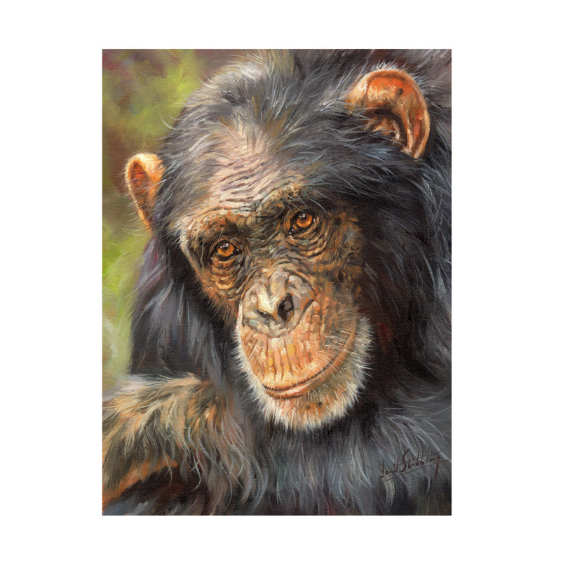 David Stribbling Chimp The Thinker Canvas Art, 18" H x 24" W
