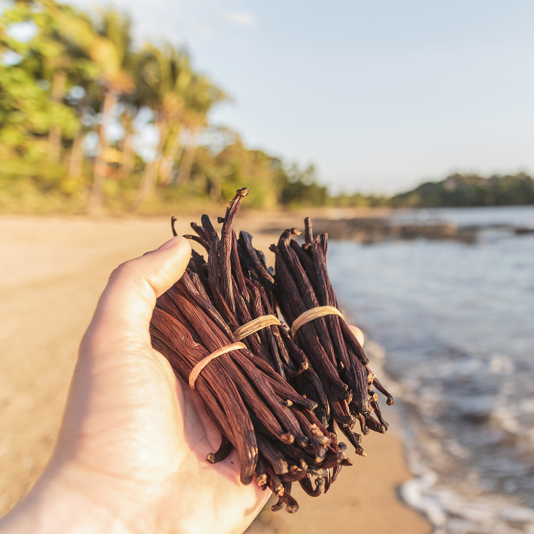 Vanilleschoten in meinen Händen am Strand