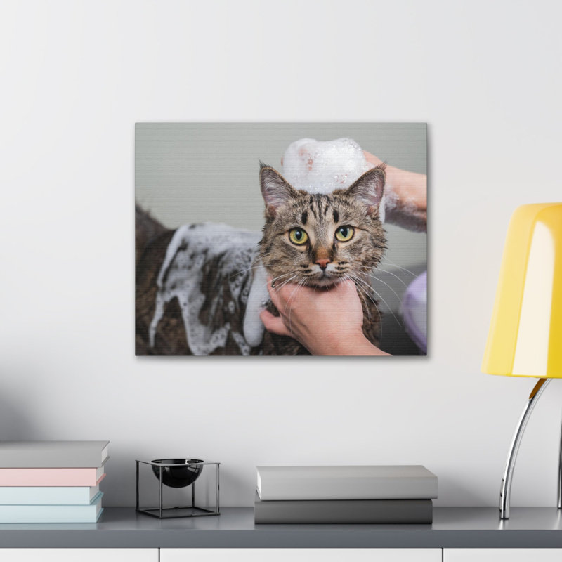 No Frame Print on Canvas, 45.72cm H x 60.96cm W