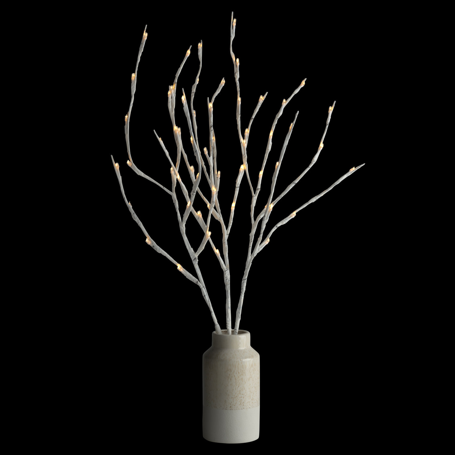 The Seasonal Aisle LED Indoor Outdoor Lighted Trees Branches