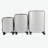 2025  silver suitcase