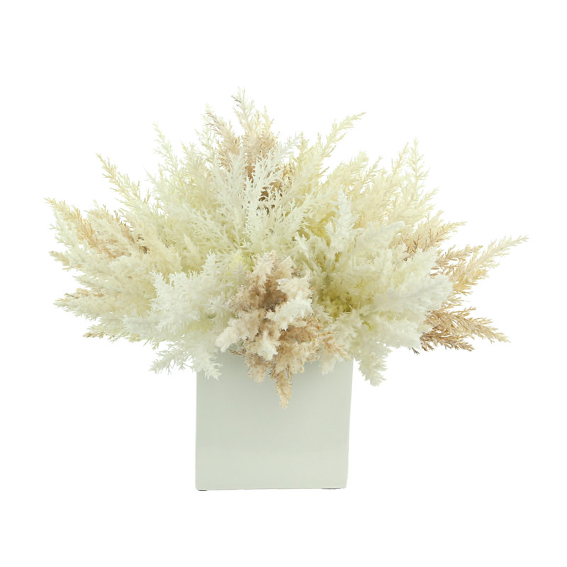 Pampas Arrangement in Pot