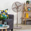 Oscillating Pedestal Fan