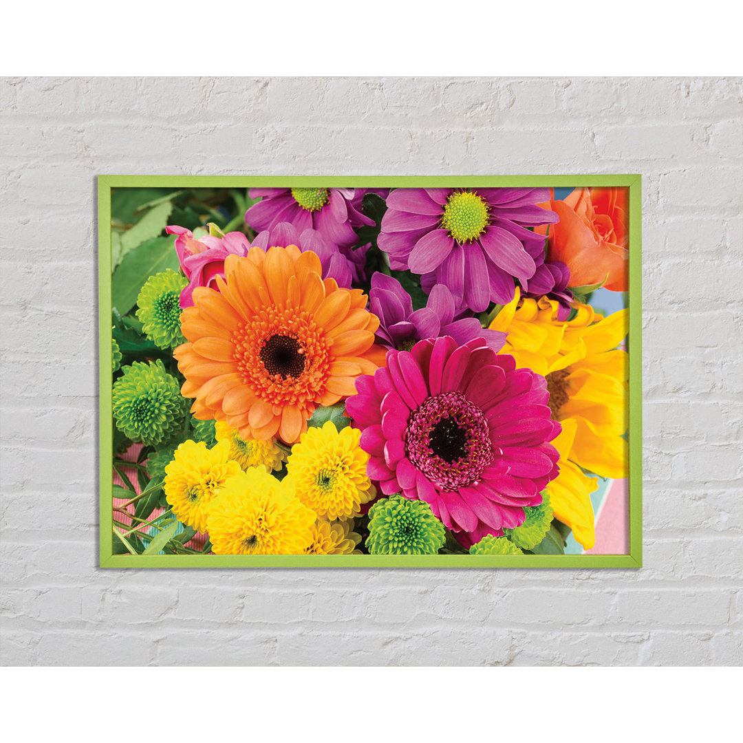 Anmie Gerbera Flower Mix - Einzelner Bilderrahmen Kunstdrucke