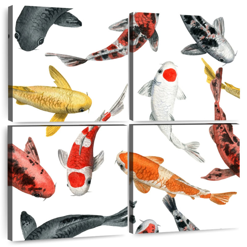 Brampt Koi Fish Variety