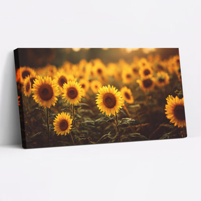 Ensemble de 1 tableau sur toile tendue représentant un champ de tournesols