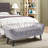 Arianna Velvet Upholstered Bench-123735849-123735854