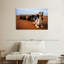 Chameaux Brampt au Maroc-108698234
