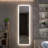 20"W x 70"H Full-Length Lighted Frameless Single Door Medicine Cabinet LED Mirror Cabinet With Built-In Outlet & USB Smart Medicine Cabinet With Front&Backlit Lights Surface Mount Or Recessed-1809601294