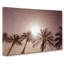 Palm Trees In The Evening In Abstract - Wrapped Canvas-55339450