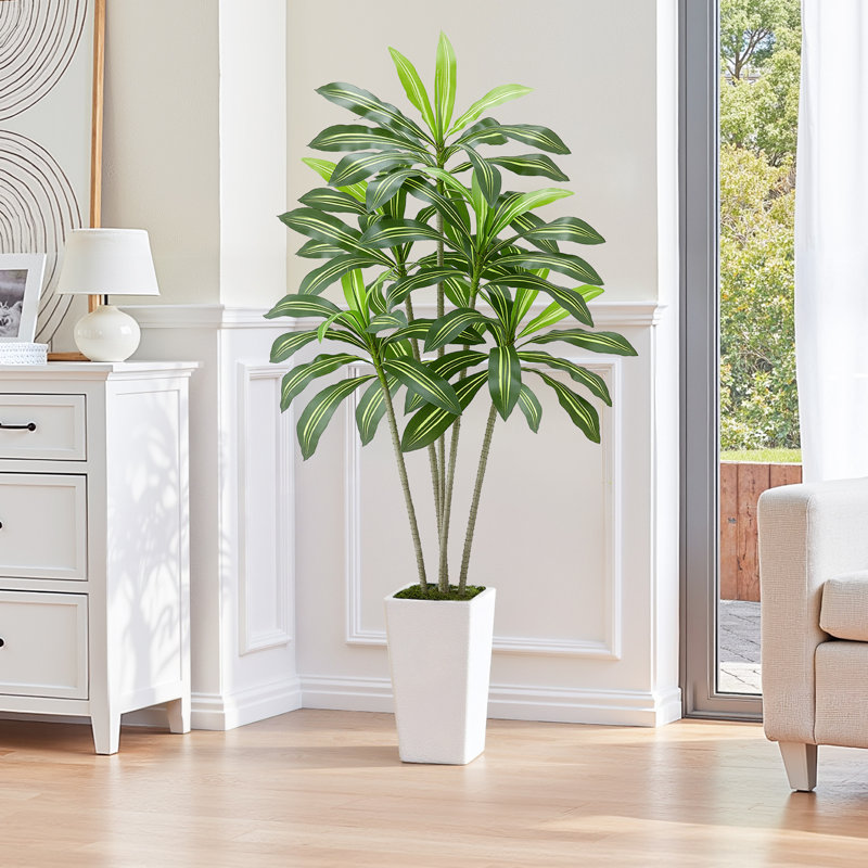 Arbre artificiel artificiel Dracaena avec plante blanche, H 72,01 po x l 31,5 po x P 31,5 po