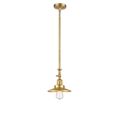 Clintonpark 1 - Light Single Pendant