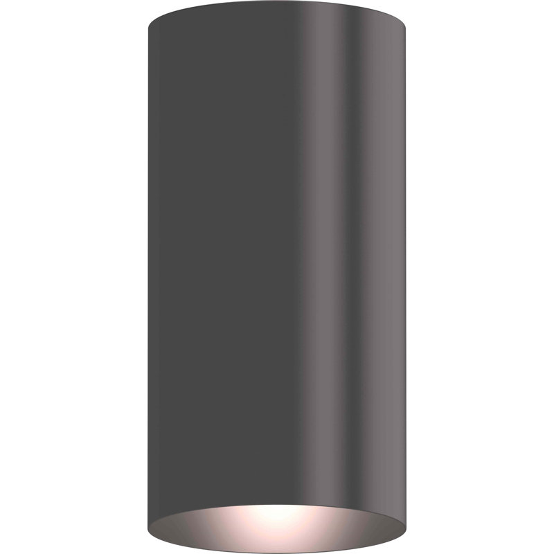  1-Light Indoor or Outdoor Antique Bronze Aluminum Flush Mount Cylinder Ceiling Fixture, Antique Bronze
