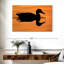 Silhouette de canard colvert Brampt