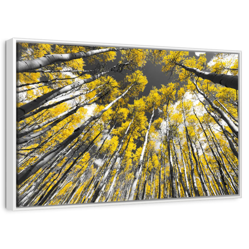 Trembles du Colorado, Cadre flottant blanc, 40 po x 27 po