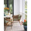 Arm Dining Chair