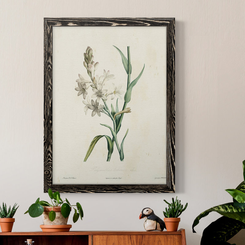 Toile encadrée de qualité supérieure Traditional Botanical IV - prête à être accrochée, Noir, H 38 po x l 28 po x P 1 po