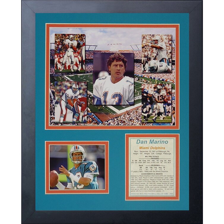 Dan Marino Miami Dolphins Signed Jersey Football Memorabilia Collector  Frame