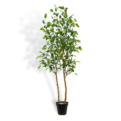 TREE LEMON GROWER 7FT