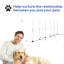 Ensemble d'obstacles pour chien Pawhut