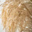 Rich Sienna 76'' Faux Plume Grass Plant in Planter